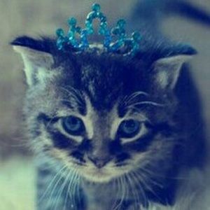 Meet your Posher, Lydia